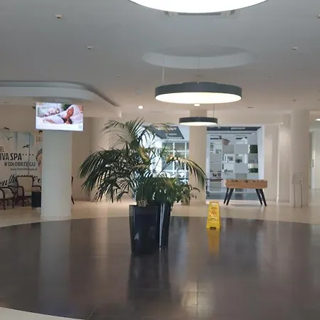 Diva Panorama Apartament קולובז'ג
